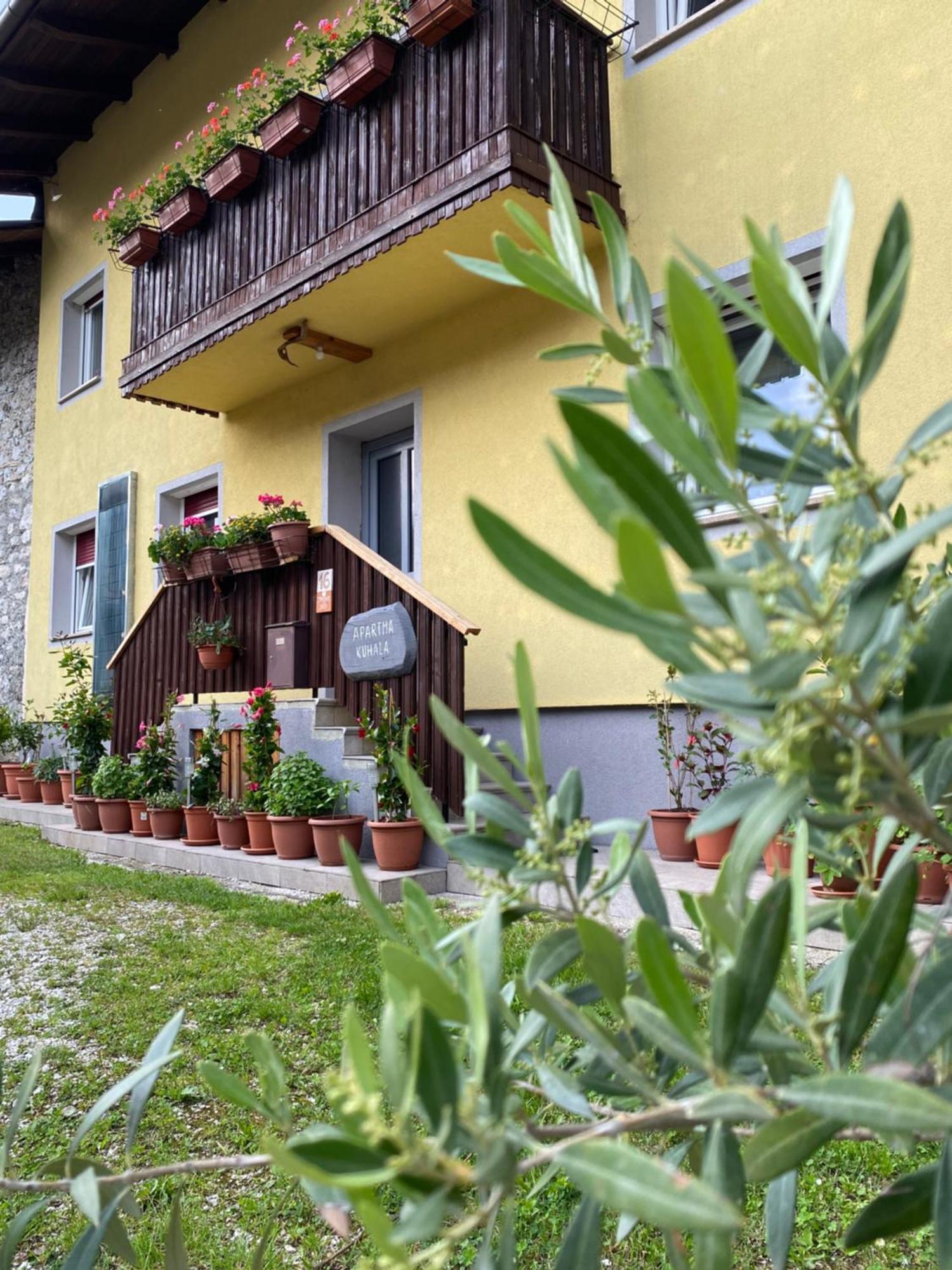 Trnovo Ob Soci Kuhala Apartment Kobarid Luaran gambar